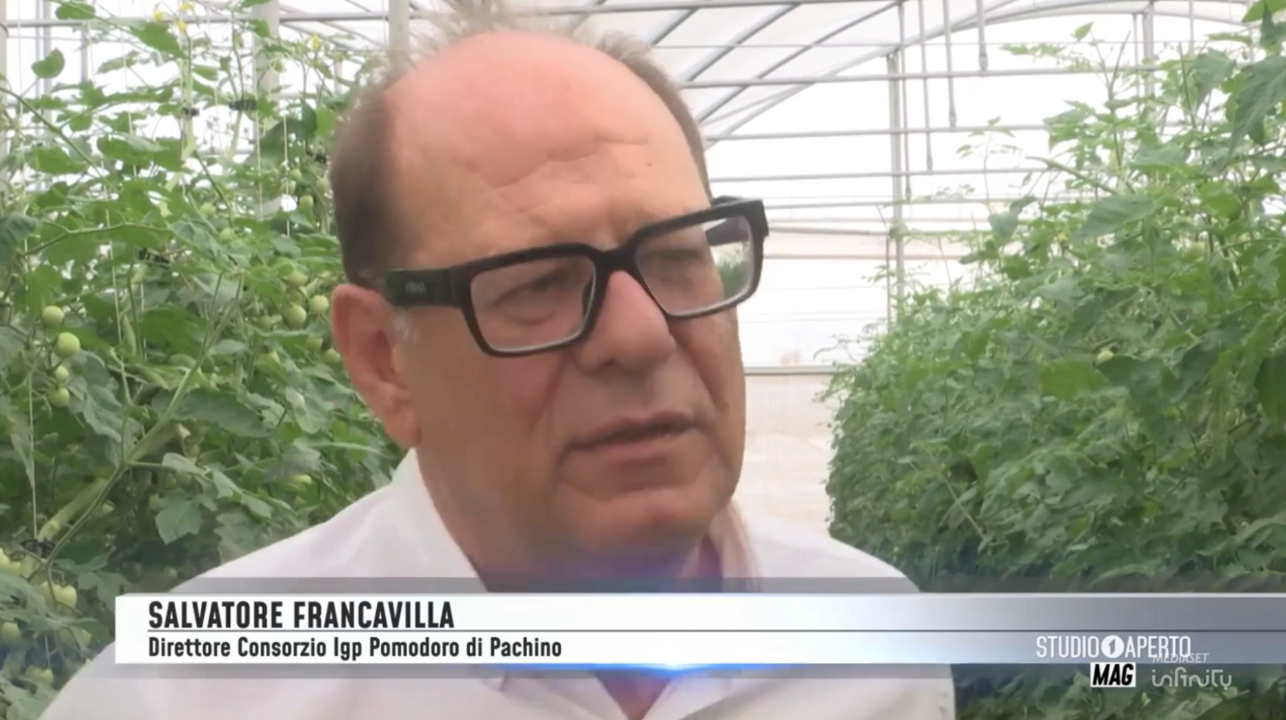 Schermata 2025-11-18 alle 10.07.34