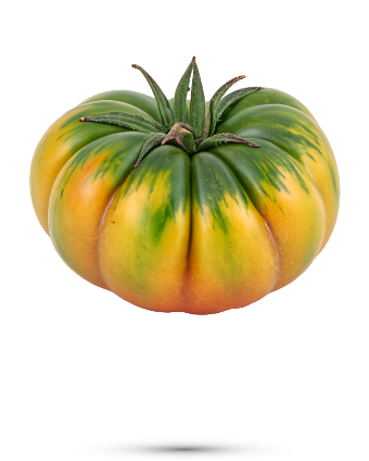 Pomodoro costoluto