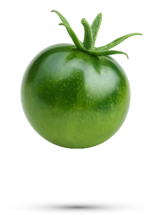 Pomodoro tondo liscio